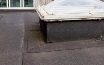 disadvantages of Birds Green flat roofs